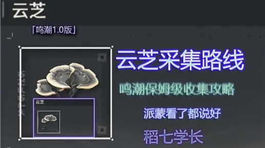 《鸣潮》云芝路线攻略：吟霖突破必备材料采集点全解析