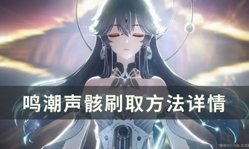 《鸣潮》声骸COST解析:性价比超高的属性攻略! 《鸣潮》声骸COST解析:性价比超高的属性攻略!