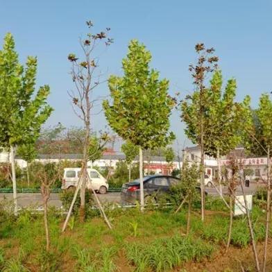 宇宙拓荒新篇章，揭秘《质量效应：仙女座》CG震撼首曝