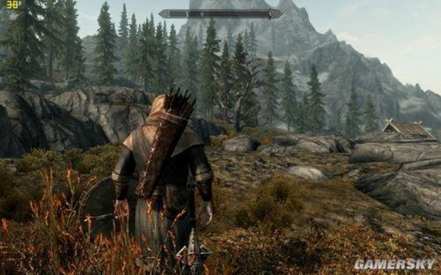 上古卷轴5主机版新突破：30帧流畅体验升级解析