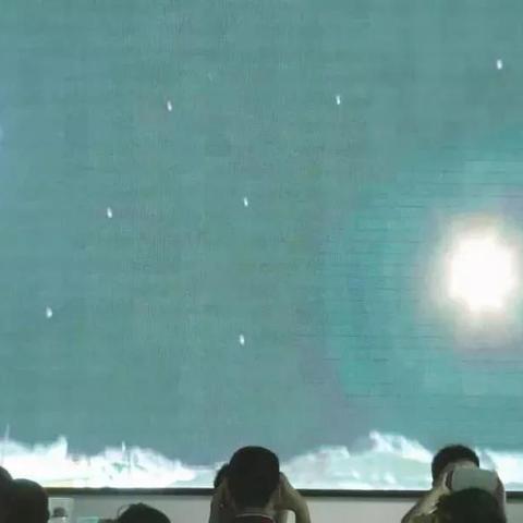 流浪狗冒险之旅,揭秘《流浪》新篇章价值绽放 流浪狗冒险之旅,揭秘《流浪》新篇章价值绽放