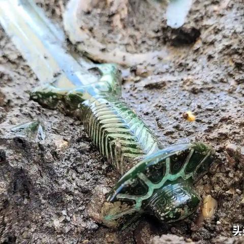 《文明VI》年度巅峰突破,揭秘游戏新纪元价值巅峰 《文明VI》年度巅峰突破,揭秘游戏新纪元价值巅峰