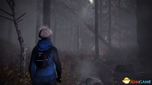 林间惊悚大揭秘，恐怖新作《穿越》10月27日PC惊悚来袭