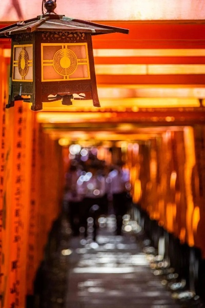 探索日本魅力，开启文化新视野