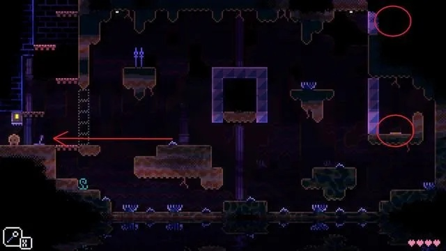 《动物井》全蜡烛位置攻略揭秘，高效布局新体验