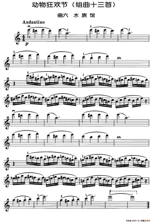 《动物井》曲谱揭秘：全新编曲演绎新境界