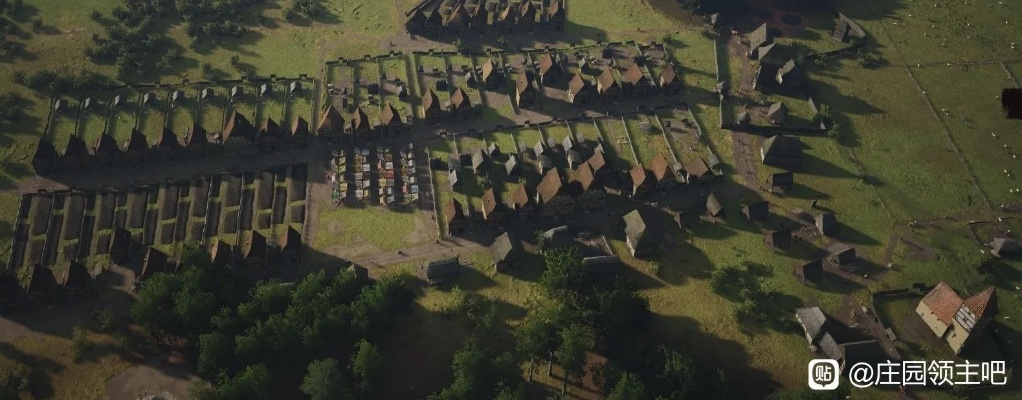 庄园领主深度解析：揭秘领主发展新策略