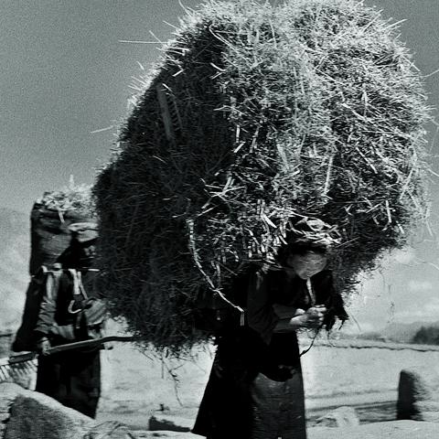 市场供应解析:揭秘《庄园领主》距离影响新策略 市场供应解析:揭秘《庄园领主》距离影响新策略