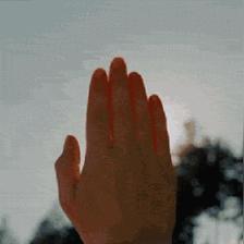 《人渣》惊曝：生存竞技新高度，揭秘极限求生法则