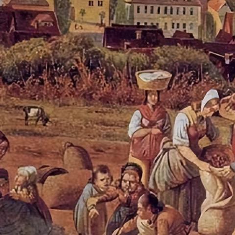 庄园领主耕种秘籍：高效耕地新攻略