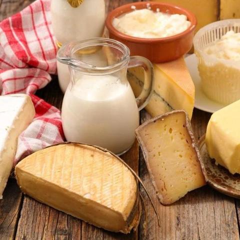 庄园领主食物获取攻略：高效获取新技巧揭秘