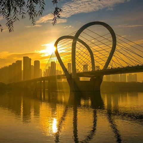 《纸百合第一章》成就攻略:解锁全成就技巧解析秘籍 《纸百合第一章》成就攻略:解锁全成就技巧解析秘籍