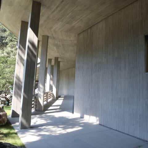 探寻《文明6》美学奥秘：灵感之源与独特价值深度解析