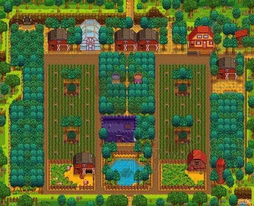 《星露谷物语》1.6奇珍异宝与神秘技能解锁攻略大揭秘