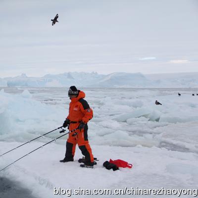 《欢乐钓鱼大师》体力攻略：钓鱼大师体力有何妙用？