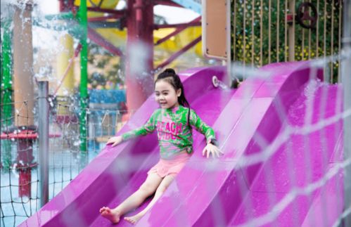 贝菈露洁低配攻略:高效打法解析,轻松通关新技巧 贝菈露洁低配攻略:高效打法解析,轻松通关新技巧