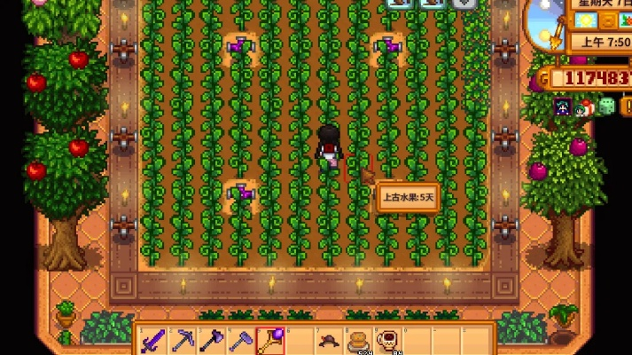 夏季亮片种植攻略：揭秘星露谷物语高效栽培新技巧