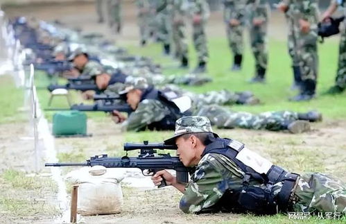 组建精英军队，体验《武装突袭移动版：行动》战术新篇章