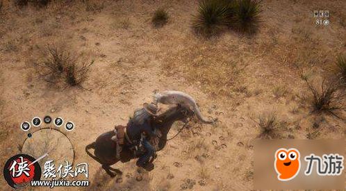 美洲狮皮攻略：荒野大镖客2独门收集技巧揭秘！