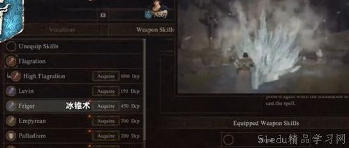 《龙之信条2》道具秘境探秘：刷新机制与神秘价值解析