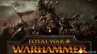 沉浸式奇幻史诗《全面战争：战锤》IGN深度解析，探索全新游戏体验境界