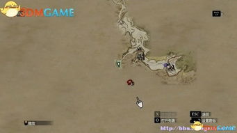 掌握《龙之信条2》精灵语精髓,解锁森林语学习秘籍 掌握《龙之信条2》精灵语精髓,解锁森林语学习秘籍