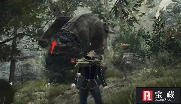 《龙之信条2》贵族宅邸少年任务攻略：高效完成指南