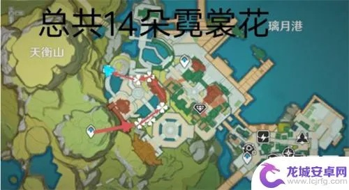 原神霓裳花购买攻略：高效采集路线全解析