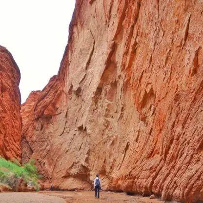 千织传说任务宝箱秘境寻宝攻略，解锁全新探险价值