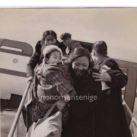 白日梦酒店奇遇记:折纸小鸟收集秘境探险 白日梦酒店奇遇记:折纸小鸟收集秘境探险