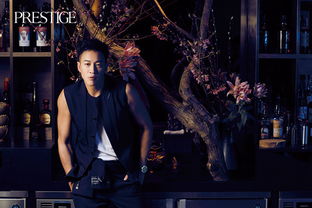 夜行绅士魅力，探秘侦探R欲罢不能新篇章