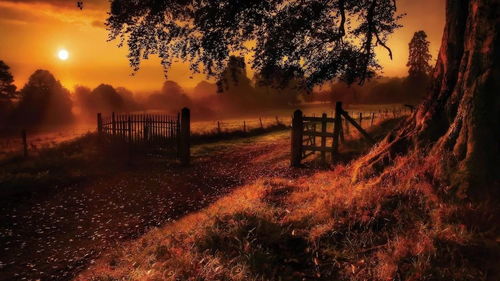 黄昏美景醉人心,侠客前传风光绝 黄昏美景醉人心,侠客前传风光绝