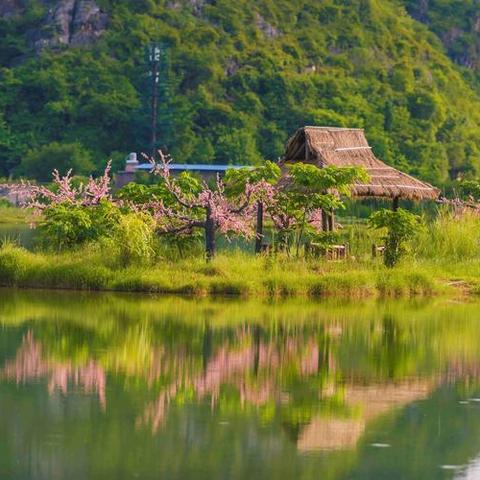 樱花福利大放送，24元畅游游泳俱乐部，超值体验等你来！