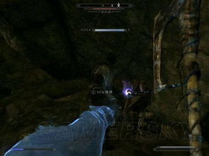 狗魂重生：探寻《上古卷轴5》地狱养宠传奇