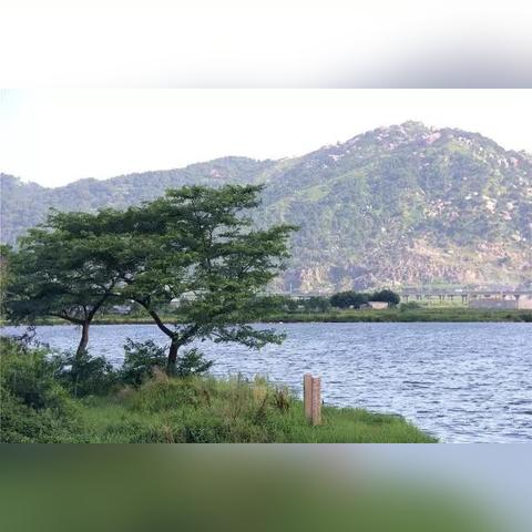 《海龟蘑菇汤》深度解析:趣味玩法与背景故事揭秘,沉浸体验新升级 《海龟蘑菇汤》深度解析:趣味玩法与背景故事揭秘,沉浸体验新升级