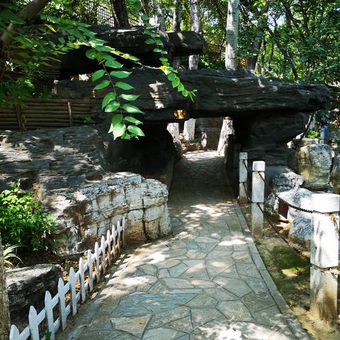 《森林之子》全探索揭秘:深度攻略视频1.0版深度解析 《森林之子》全探索揭秘:深度攻略视频1.0版深度解析