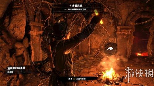 《古墓丽影崛起》深度解析：揭秘DX12画质革命新篇章