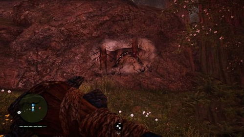 《原始杀戮画质揭秘：孤岛惊魂视觉革新》