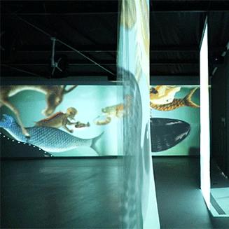 《星际漫游》全新配置大揭秘，畅游宇宙新体验！