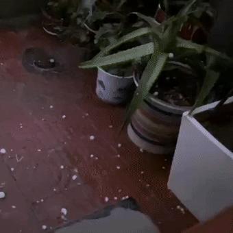 《雷电5》Xbox One版喝彩升级，全新竞技体验震撼来袭