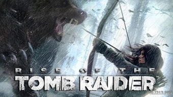 《古墓丽影：崛起》5K截图，揭秘超高画质视觉盛宴