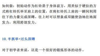 沙脂蛹分布探秘：高效采集路线攻略指南