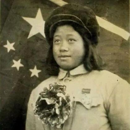 《见证者》IGN深度评测：探寻神秘迷宫的奇幻之旅，揭秘游戏新境界