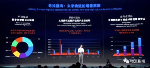 《见证者》预售开启：揭秘发售价，抢先锁定新体验