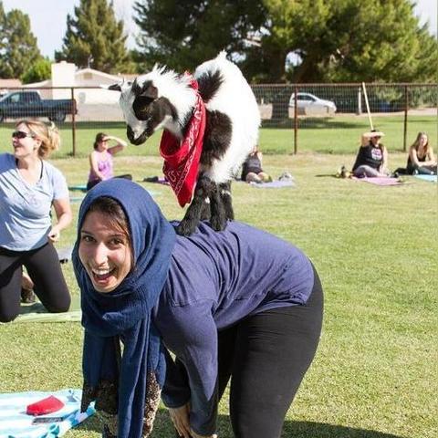 《收获日2》首曝《模拟山羊》剧情DLC,全新互动体验震撼来袭 《收获日2》首曝《模拟山羊》剧情DLC,全新互动体验震撼来袭