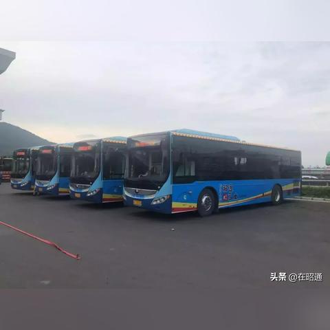 巴士挑战升级!《16模拟巴士》3月初全新启航 巴士挑战升级!《16模拟巴士》3月初全新启航