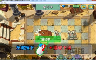 《PVZ：花园战争2》B测PC平台首曝，全新体验即将开启