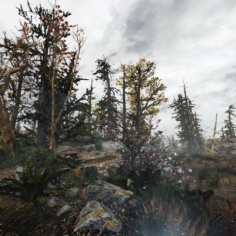 《辐射4》Mod高清图赏:探索未知,玩转独特游戏体验 《辐射4》Mod高清图赏:探索未知,玩转独特游戏体验