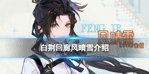 《白荆回廊》公测风队阵容攻略,深度解析烙痕新价值 《白荆回廊》公测风队阵容攻略,深度解析烙痕新价值