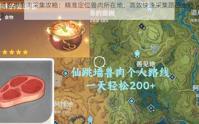 高效攻略!原神禽肉获取路线解析,轻松升级新技巧 高效攻略!原神禽肉获取路线解析,轻松升级新技巧